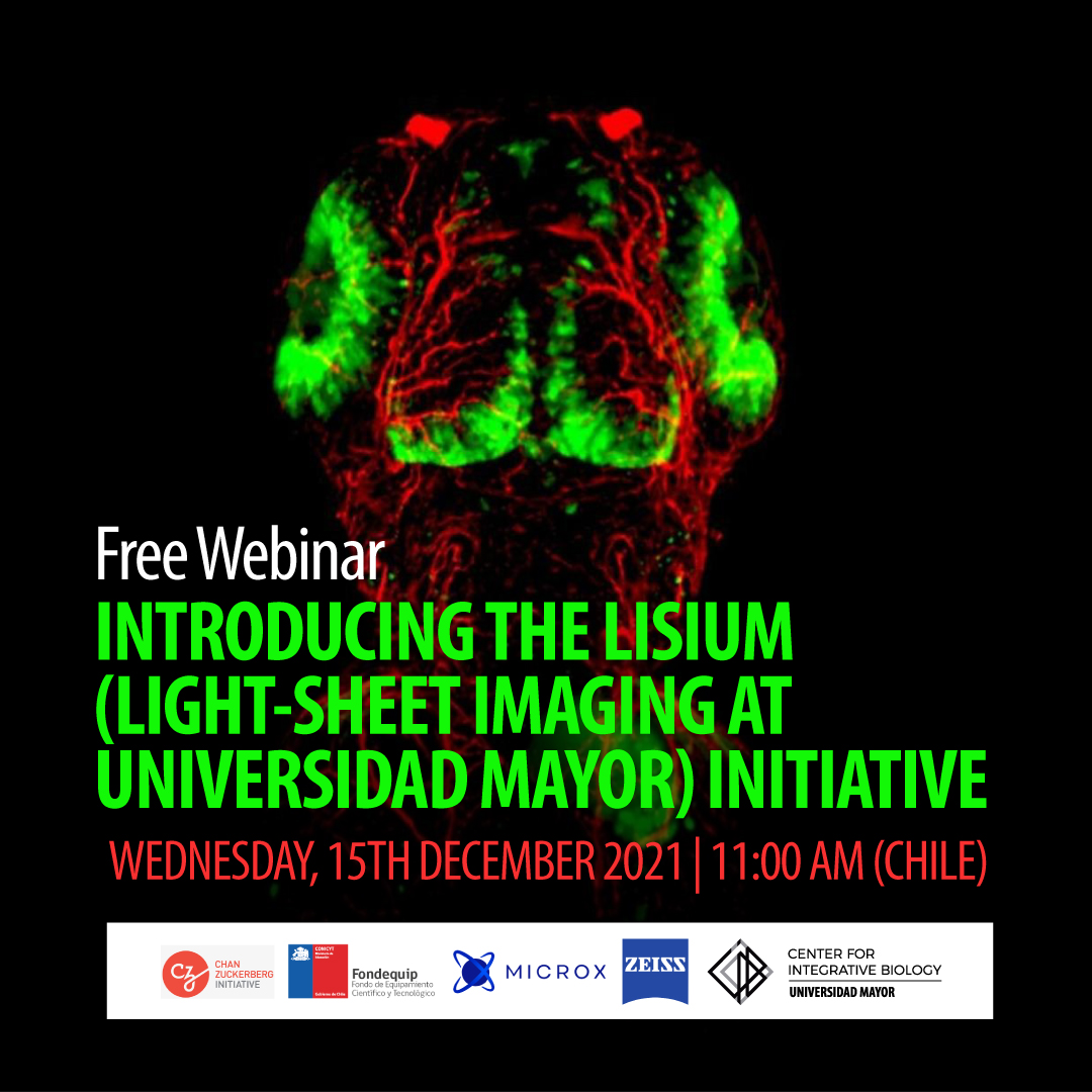 1/4 Invitation <a href="/CIBumayor/">Center for Integrative Biology U. Mayor</a> #Webinar "Introducing the LiSIUM (Light Sheet Imaging at Universidad Mayor) Initiative"
December 15, 11:00 (GMT -3 hours)
Zoom:us02web.zoom.us/j/81383271370