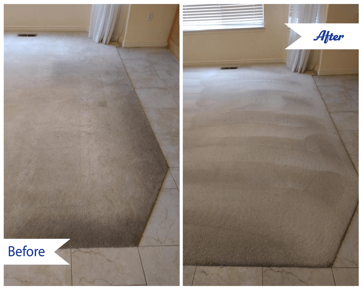 Deck the halls but don't forget to clean your carpets! Complete Chem-Dry of Lake Orion’s professional carpet cleaning service is here to help this holiday season. Give us a call at (248) 879-3954 for a free estimate.