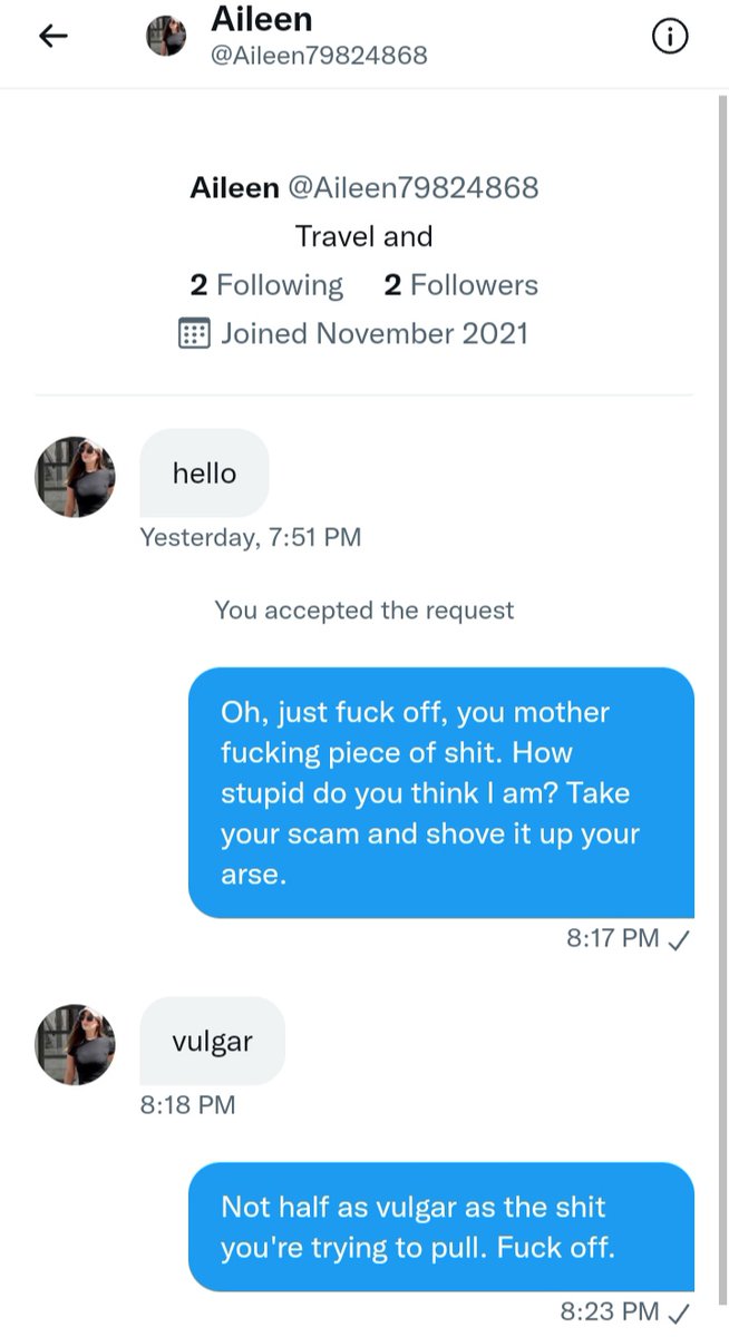 Meestal vind ik het wel leuk om scammers aan het lijntje te houden of een poot uit te draaien, maar vanavond had ik er even geen zin in.