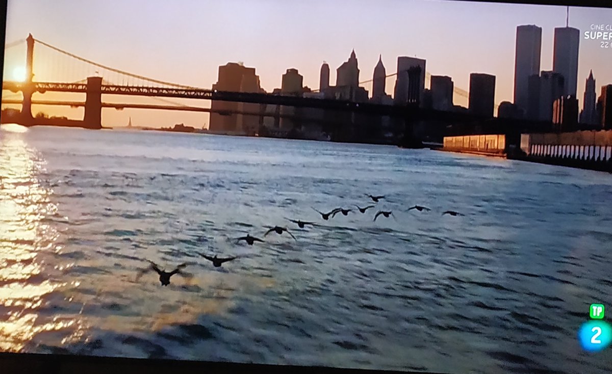 UolFree's tweet photo. Cada vez me gustan máis os #documentais de #natureza. En @la2_tve  #nómadasdelviento #avesmigratorias 
Déronme moita peniña algunhas destas #imaxes https://t.co/XhbbBXNaHj