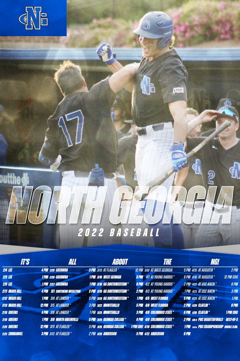 UNG Baseball tweet media