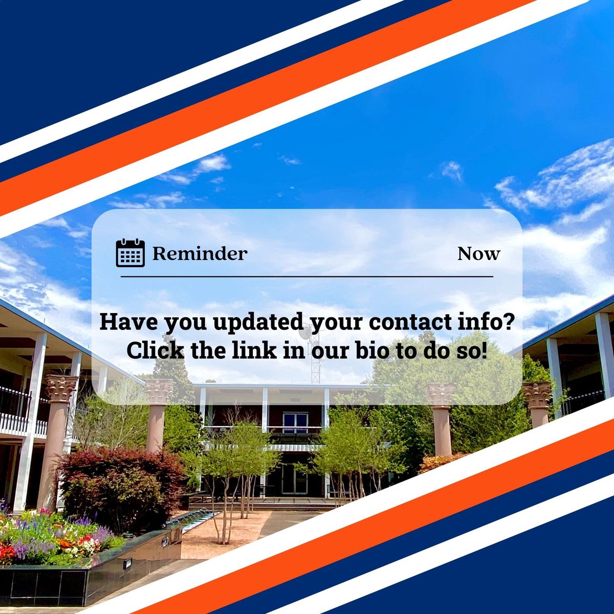 HCUAlumni's tweet photo. Do we have your updated email address? Don’t miss out on our newsletter being sent this Friday! Update your contact information with the link in our bio. #HBUAlumni #DawgsUp 🧡💙 https://t.co/z9BsGOrmll