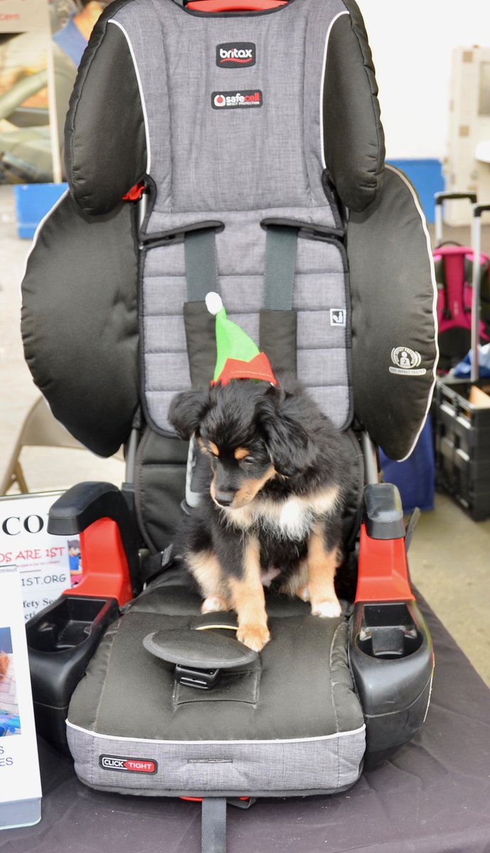 kidsare1st (@kidsare1st) on Twitter photo In #losangeles at the Holiday Vaccination Fair. A long long line for vacs along with car seat safety & teen distracted driver education. <a href="/StateFarm/">State Farm</a> <a href="/Britax/">Britax US/CAN Official Account</a> @SF_KaileyBurton @SF_SamonaC @SF_JordiO kidsare1st.org/2021-holiday-v… In #losangeles at the Holiday Vaccination Fair. A long long line for vacs along with car seat safety & teen distracted driver education. <a href="/StateFarm/">State Farm</a> <a href="/Britax/">Britax US/CAN Official Account</a> @SF_KaileyBurton @SF_SamonaC @SF_JordiO kidsare1st.org/2021-holiday-v…