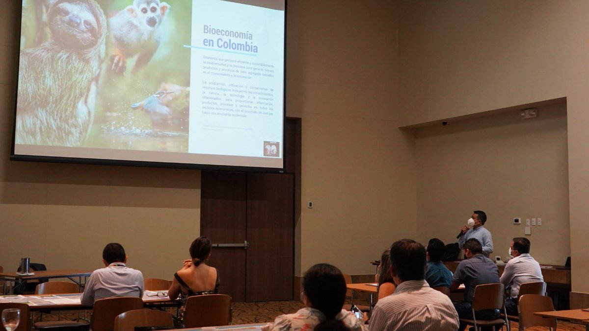 MincienciasCo's tweet photo. Con la presencia de la Directora de Vocaciones y Formación en CTeI, Clara Ocampo, se realizó el tercer Taller de la #MisiónDeBioeconomía de los Llanos Orientales y Orinoquía, en el que se trataron retos y apuestas en bioeconomía para la región.
#MisiónDeSabios. https://t.co/aES1DE93iw