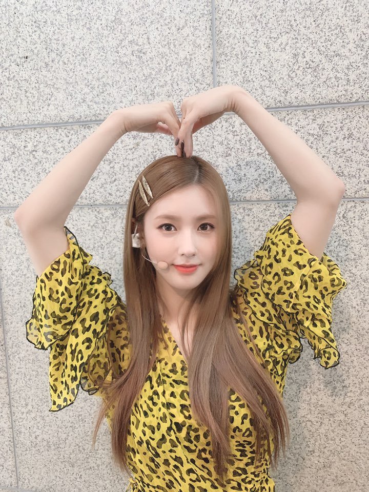 BERRIESPAITWT's tweet photo. Era hora de salir del sótano, solo lo hice por el #TOMOYO2ndCB por eso dejé mi chocomilk y mis series para poder venir a cantar y bailar hasta el amanecer #ICETwTMY 💃🏻☆! Así que no se asusten si ven a una ariana loca gritando por todo el lugar!

 ⟢⠀🦋ᅠ  𝔉airyᅠ·ᅠ  #KAZUKI🧚🏻‍♀️ https://t.co/dvmH9YlWt9