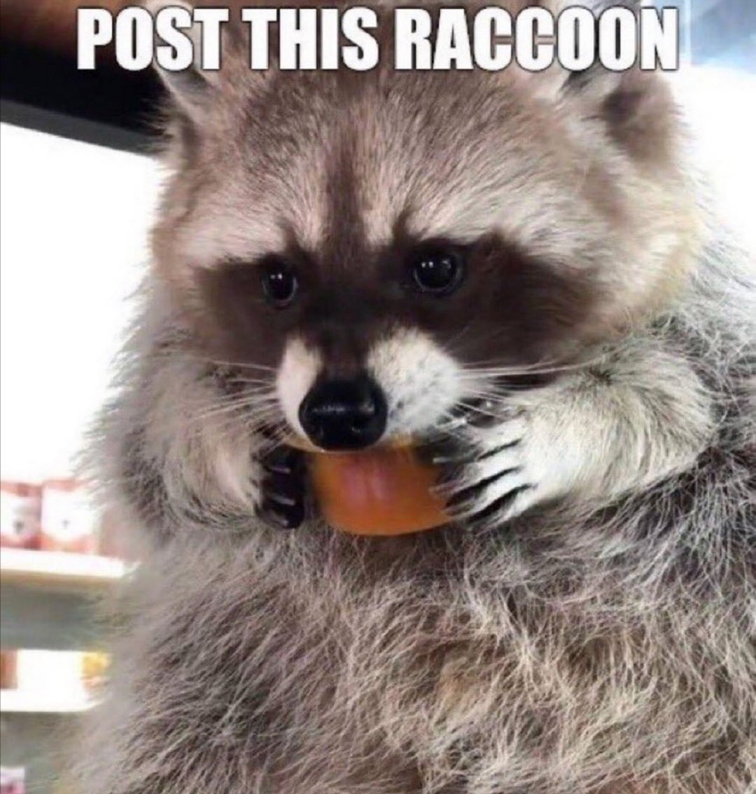 .Joelle Alfakrøll (@_joellle) on Twitter photo 