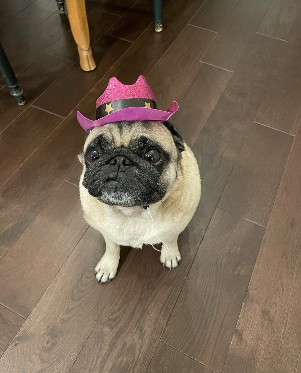 gene parmesan tweet media