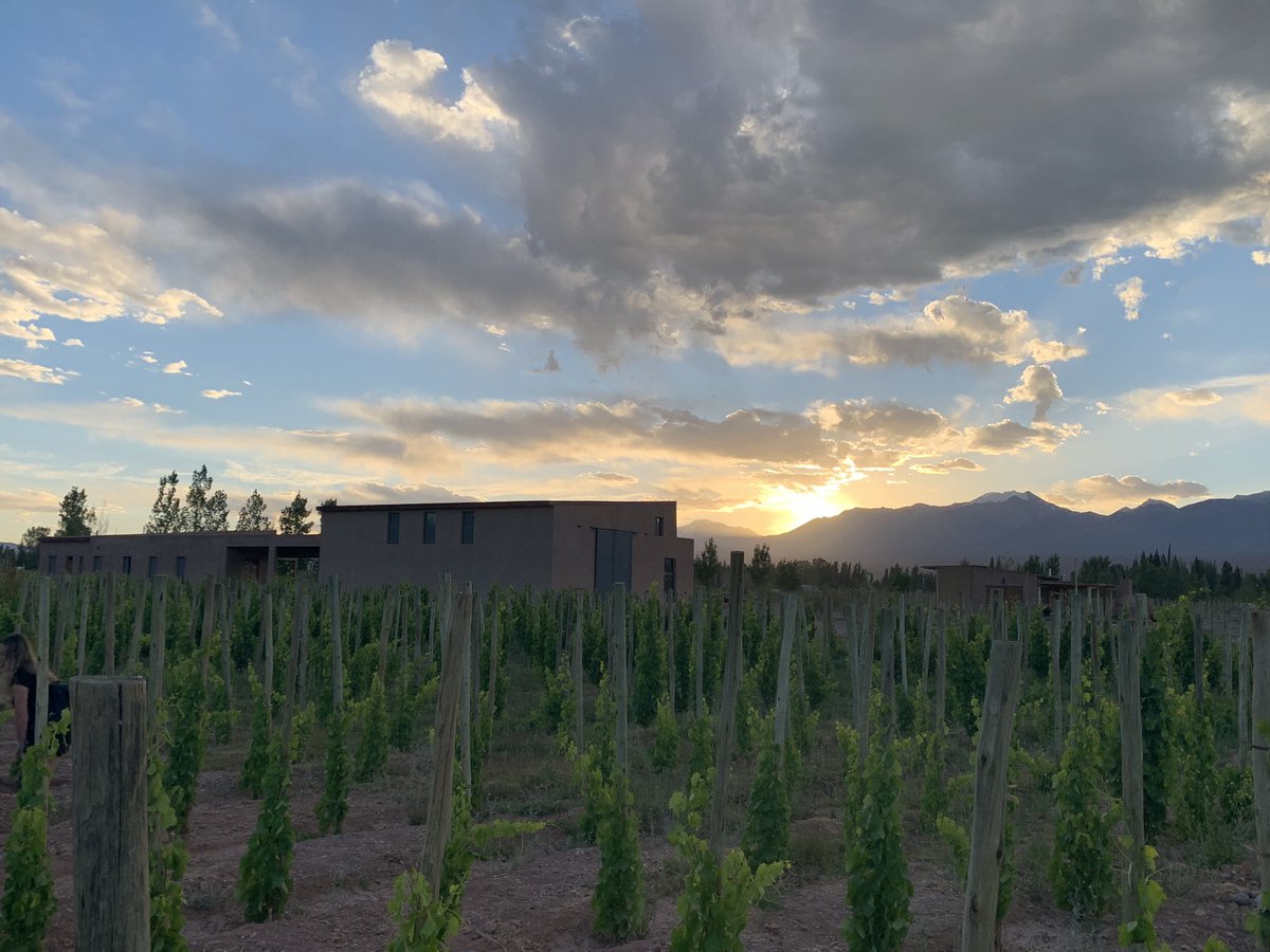 garabeta1's tweet photo. Dos grandes proyectos de #Barreal, #CaraSur y #FincaLosDragones Visita de viñedos, bodegas y un gran asadazo! Gracias vasco & @panchobugallo 🍷🍷🍷 https://t.co/l918QRqgUf