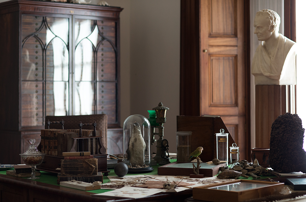 WE'RE HIRING Seeking a FT temp Head, Collections Care to join our team. This role oversees &amp; provides strategic advice/management for collections care &amp; conservation for SARA and SLM collections to maximise accessibility &amp; longevity. slm.is/jobs #SLMjobs #career #SARA