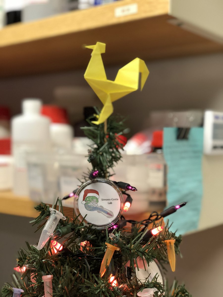 Our lab Chickmas tree is just too cute!