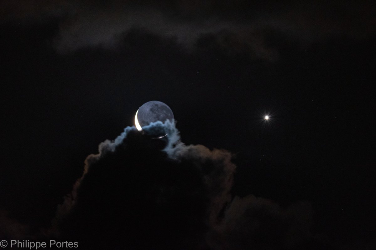 Philippe Portes tweet media