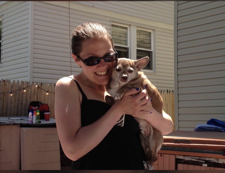 SpankyDecker's tweet photo. This is Aunt Cat. She isn’t a real cat. #dogs #pets #Chihuahua https://t.co/1D23Hzzlew