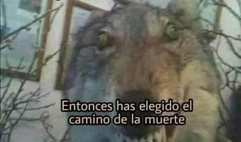 Dann_Kill's tweet photo. @Ann_azd Ya te dije que no soltaras ni un chistesito crinchoso más https://t.co/tsloJVoZHg
