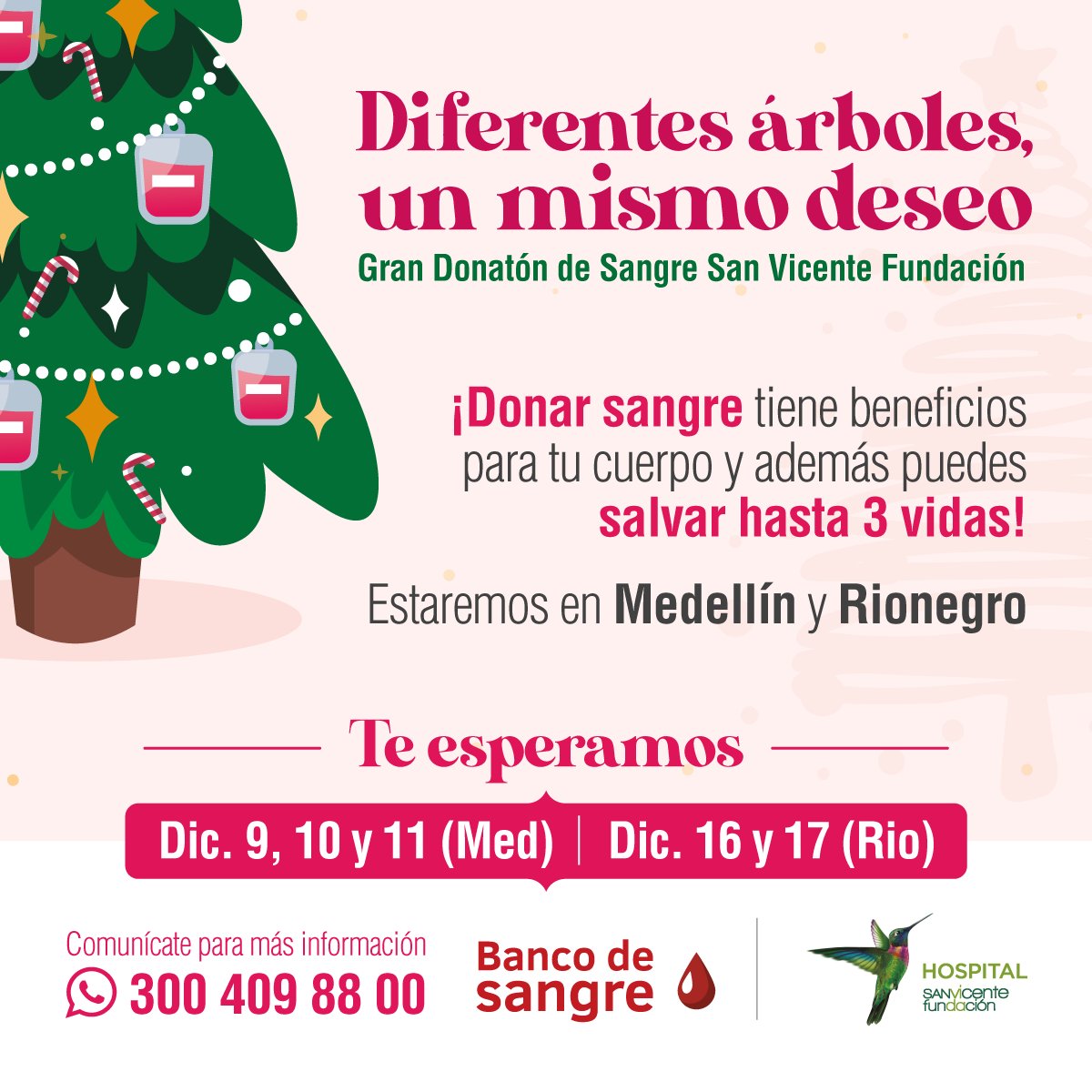 sanvicentefund's tweet photo. Solidaridad que salva vidas, puedes donar en nuestros Hospitales Medellín y Rionegro 🩸 ¡Acércate! 

#Navidad #Dona #Sangre #Donatón #DonaciónDeSangre #SomosUno #Cuidado #Salud #Medellín #Solidaridad #Regalo #Amor https://t.co/OVX58Lwlzw