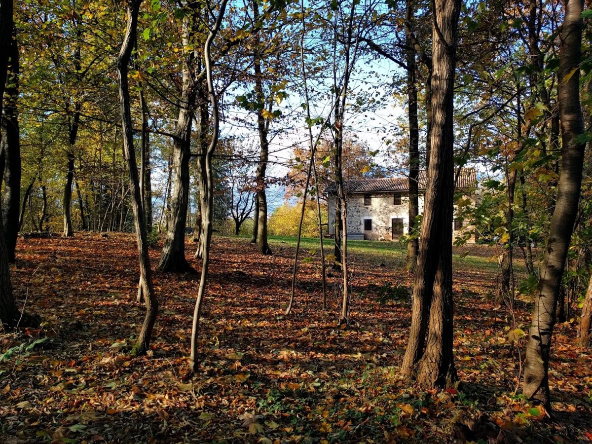 This analog &amp; digital studio is in a private residence outside of Montello Hill, Italy. 

All bookings include a session engineer &amp; other services are available to tailor each session for your needs. 

studiotime.io/l/outside-insi…