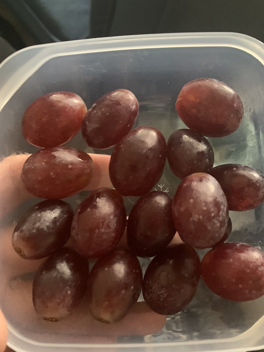 WhiteHatRat's tweet photo. Mmmm fresh raisins! 🙌🏼 #raisinsovereerythang #gerps https://t.co/EIN5nqcd3O