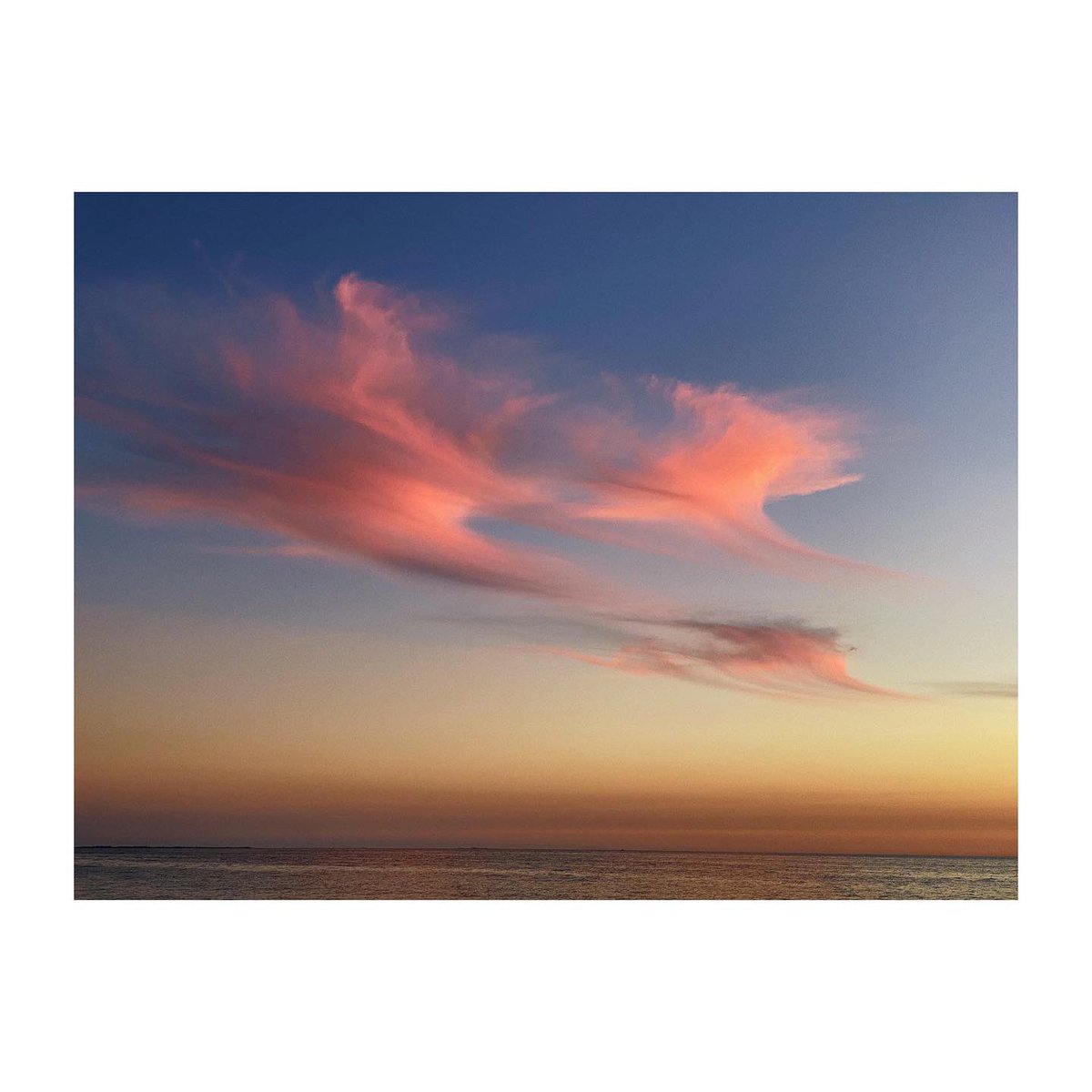 Brian James Gallery tweet media