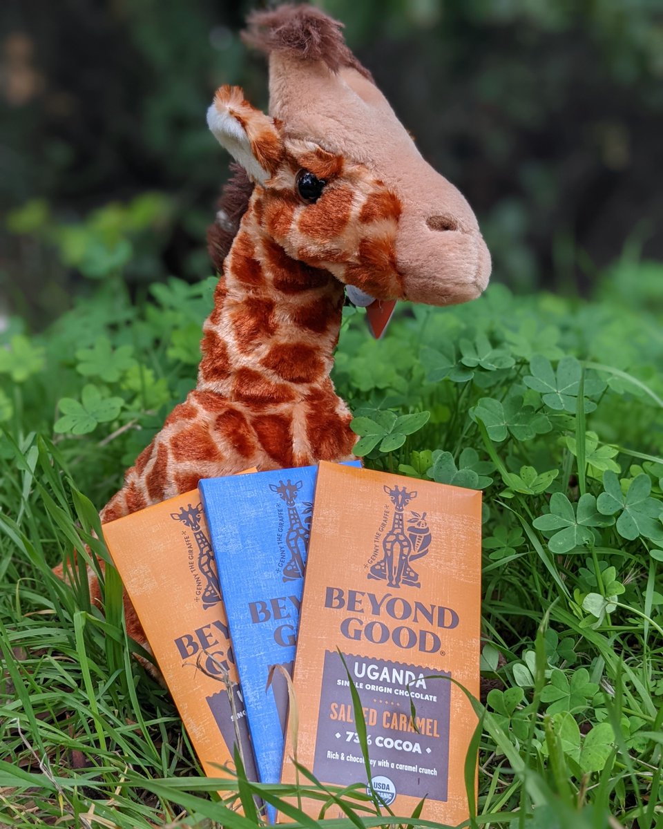 In celebration of @fwkidszoo Zuri, the oldest giraffe in the US, turning 33, we are giving out @eatbeyondgood chocolate (not to Zuri - she gets plants), but to you! Simply write your best bday giraffe greetings and we'll send a few well-wishers delicious Uganda chocolate!