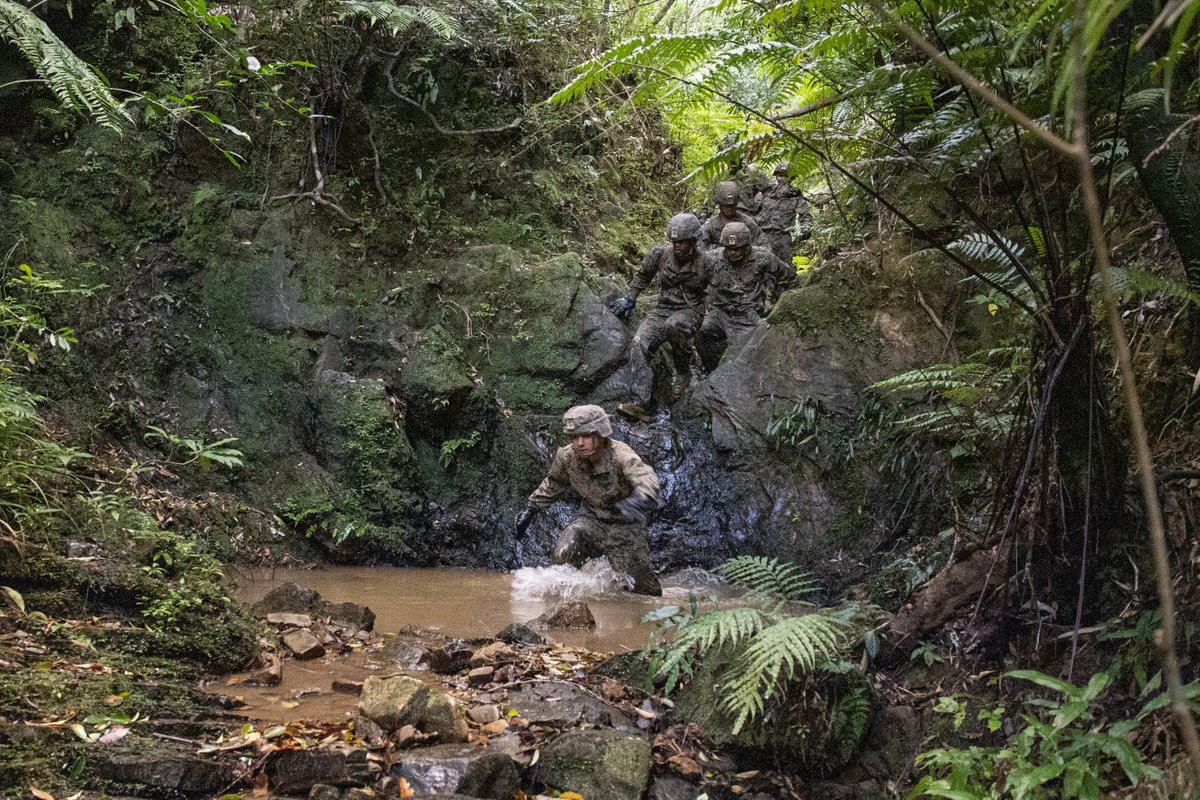 USNavy's tweet photo. It doesn't matter where, #SeabeesCanDo! 🌊 🐝
#Seabees assigned to #NMCB5 participate in the Basic Jungle Skills Course at the Jungle Warfare Training Center in Okinawa, Japan.
NMCB-5 is deployed to the @US7thFleet in supporting of a #FreeAndOpenIndoPacific https://t.co/rH4CaAIIFs