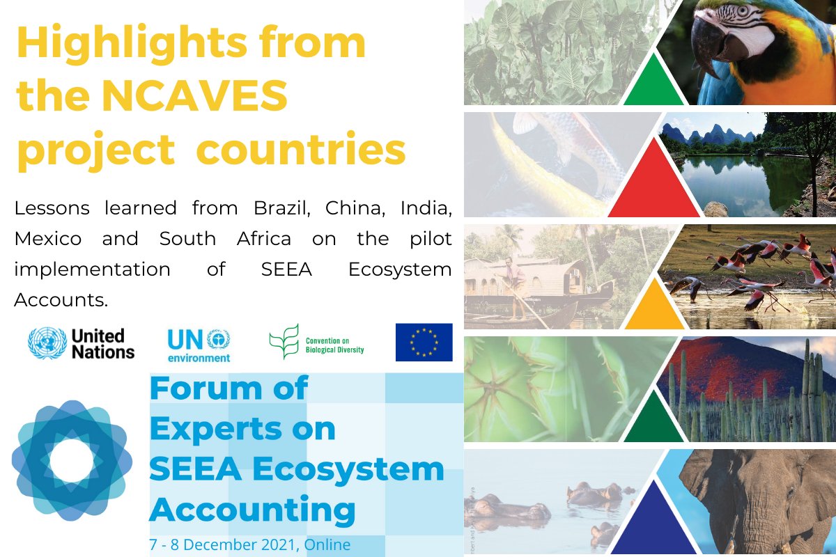 UNStats's tweet photo. Tomorrow: Highlights from the EU-funded #NCAVES project presented by @INEGI_informa @IBGEcomunica @Mospi @SANBI_ZA @StatsSA at the Forum of Experts on SEEA EA at
https://t.co/yQGElfxKkL
#MakeNatureCount
@EU_ENV @EU_FPI https://t.co/LY7QPyzqk5