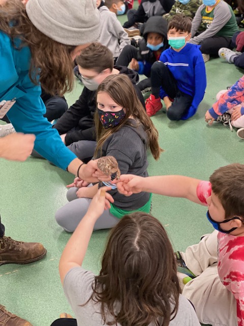 MitchellWAWM's tweet photo. 4th and 5th Grade launched their next project with some new (furry, slimy, and slithery) friends thanks to @SchlitzAudubon #WAWMproud @WAWMSchools https://t.co/g4dDiVZKl6