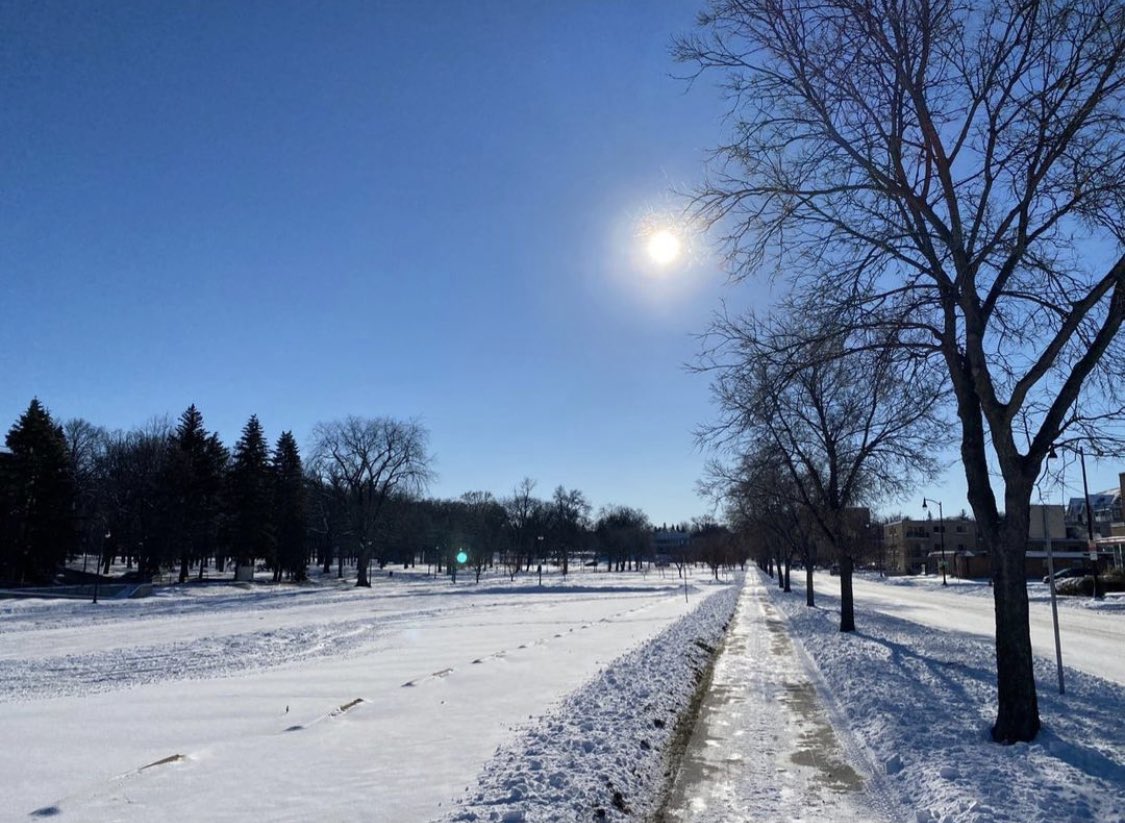 FargoParks's tweet photo. Winter has finally arrived in Fargo! ❄️😍 Check out this beautiful view of Island Park. #FargoParks #ILoveFargo #FargoWinterFun https://t.co/1DqDH5T9Pw