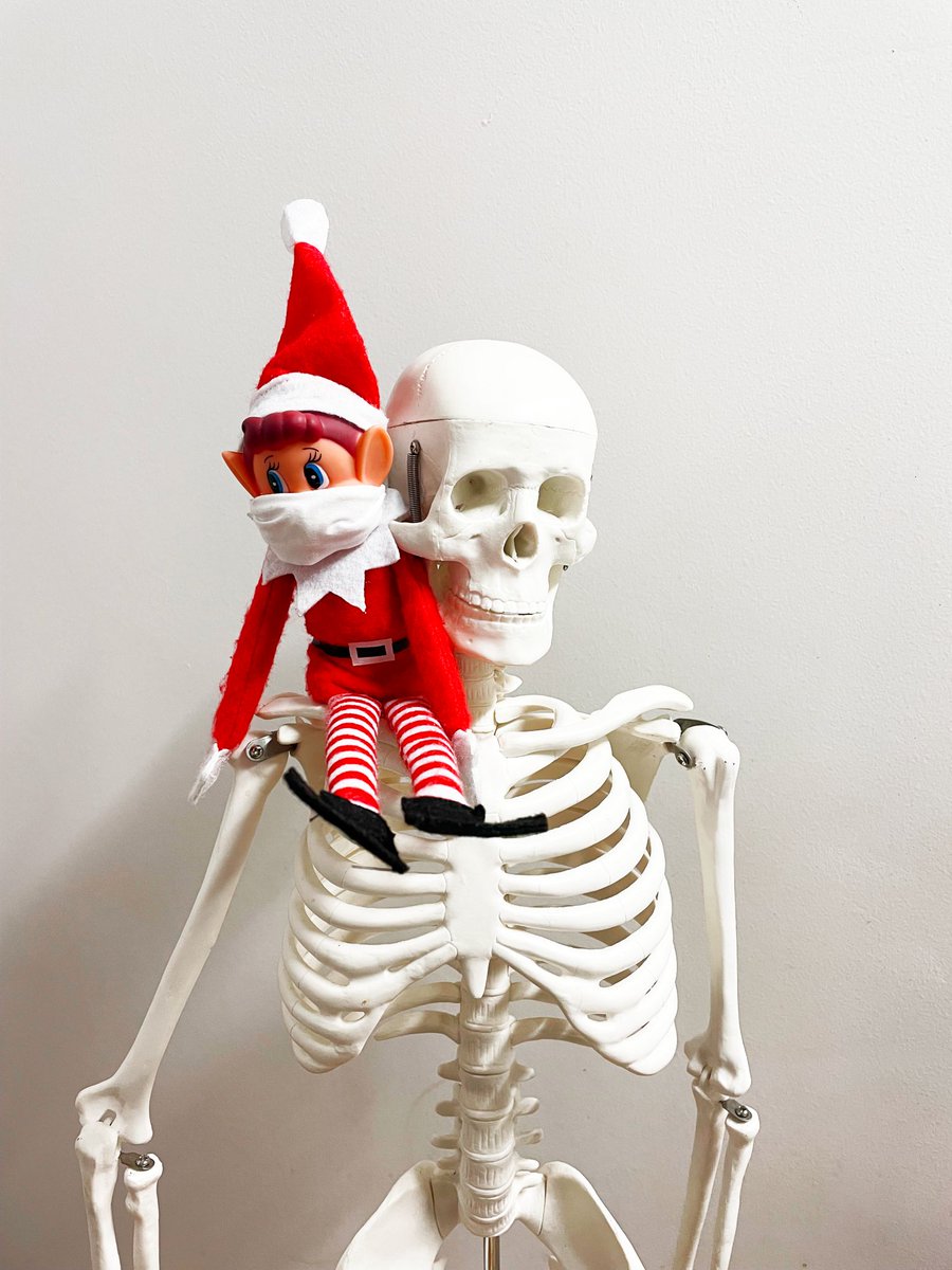 MrLamara's tweet photo. Caught Einstein this morning after a busy weekend of partying with our skeleton! Why didn't the skeleton go to the Christmas do? Because they had nobody to go with! #hereallmonth #Christmas2021 #Einsteinelf #elfontheshelf #dowhatmattersmost https://t.co/h3zjfNNGU3