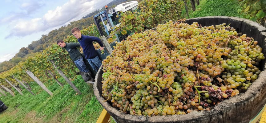 Côté Châteaux tweet media