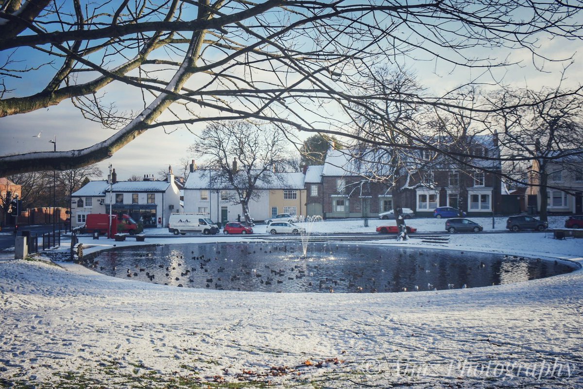 "Winter wonderland" - Norton Duckpond

#nortonontees
#winterphotography
#stocktonontees
#ourbeautifulborough 
#teesside