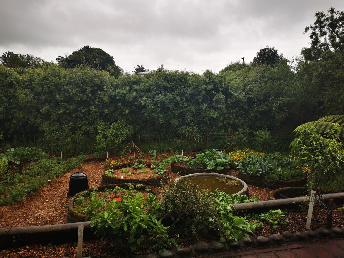 Hannah Choat tweet media