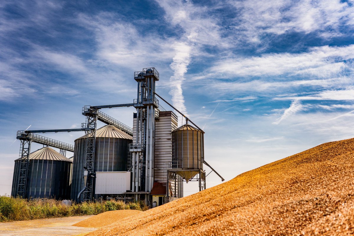 The progress in understanding the stored grain ecosystem is reviewed. Based on these cases, we examined the understanding of the stored grain ecosystem from the view of an ecosystem approach.  We have found the key!