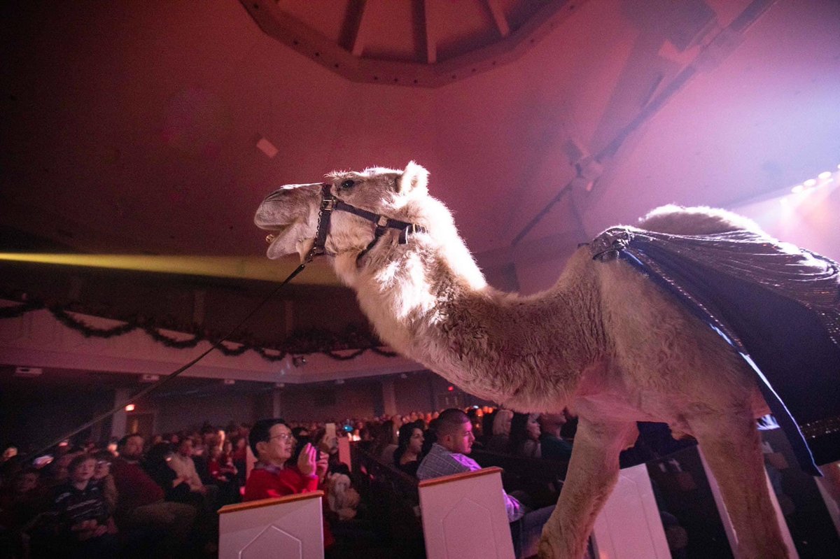 Birchman Baptist Church tweet media