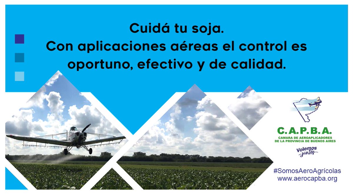 Atención #SanidadSoja2021 #plagassoja2021 
SIEMPRE MONITOREÁ, consultá al Ingeniero Agrónomo y si hay que aplicar considerá al avión como herramienta efectiva, oportuna y de calidad.