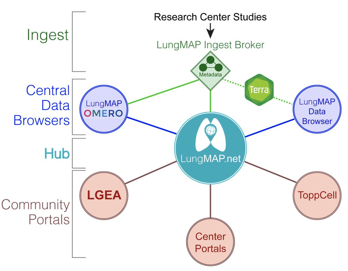 LungMAP is happy to share our recent preprint  describing a series of interconnected LungMAP web portals to provide supervised single-data analyses, exploration of integrated datasets and new community resources. biorxiv.org/content/10.110…