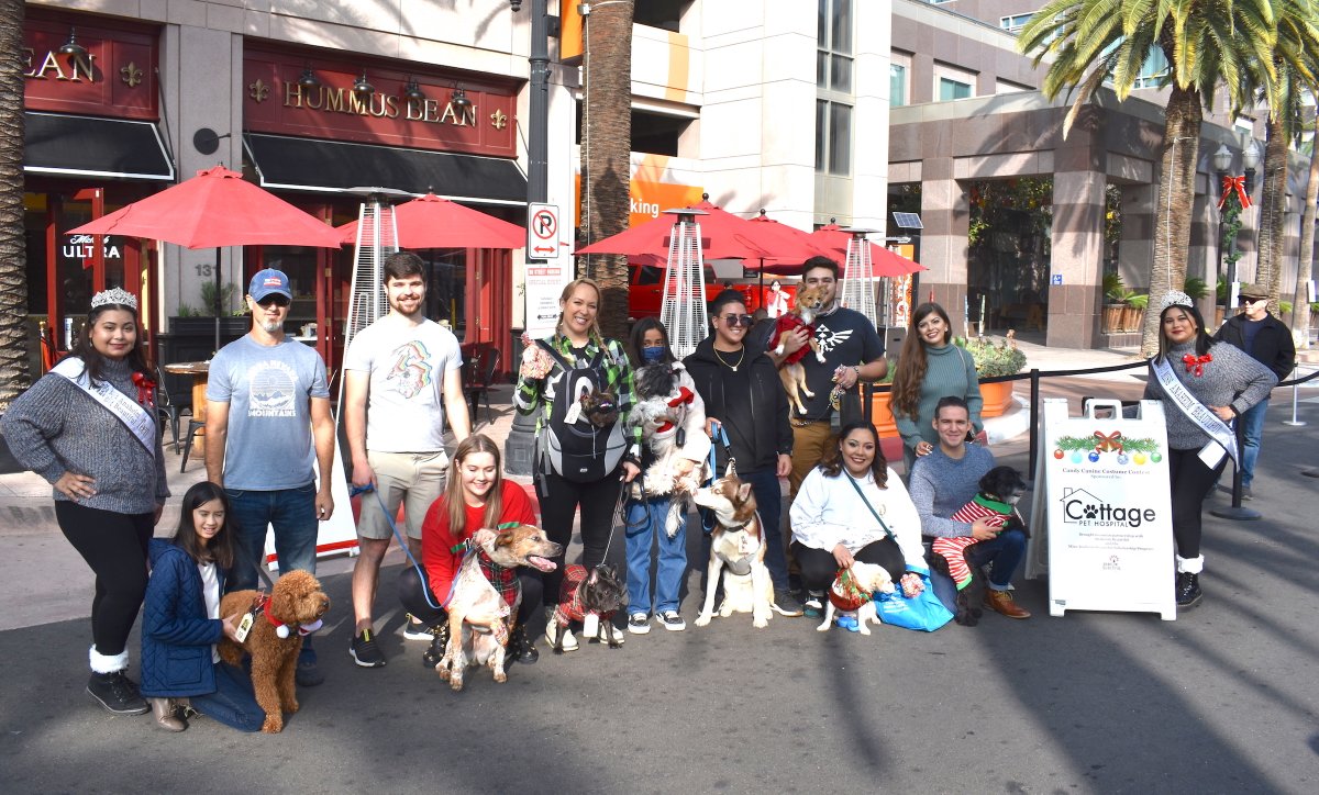 AnaheimBeautifu's tweet photo. Thank you to all who entered the 2021 Candy Canine Costume Contest held on Saturday. We'll be posting some more cute photos soon. We are grateful for the support of Cottage Pet Hospital and Anaheim Feed for helping make this happen. #anaheimfeed #cottagepethospital #happydogs https://t.co/pd6fhsPzx1