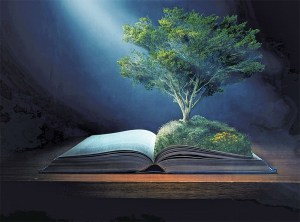 mangugsosung1's tweet photo. (24 Wise Questions - 8) “How was the Bible written, and what proves it is God’s Word?”
https://t.co/0aFwieyUsY … …
https://t.co/dzsV9icqLz [02027
#24QnA #24wisequestion #Samsung #ByoungchulLee #ManheeLee #KoreaJoongangDaily #Religion #24wiseAnswer #Catholic #Buddha #CheonjiIlbo https://t.co/yqfTSJk10q
