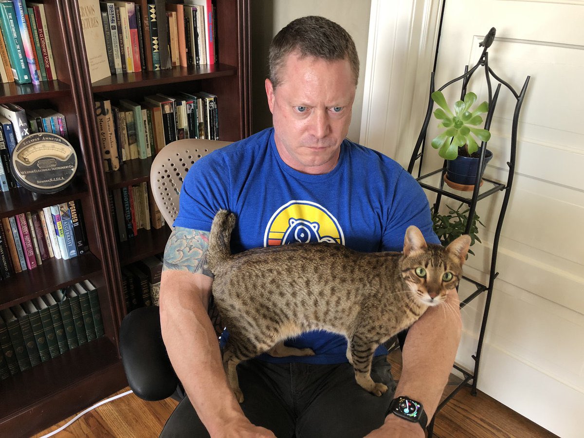 Cindernfts's tweet photo. how to get this fucking thing off of me https://t.co/LHGv6T6Rz9