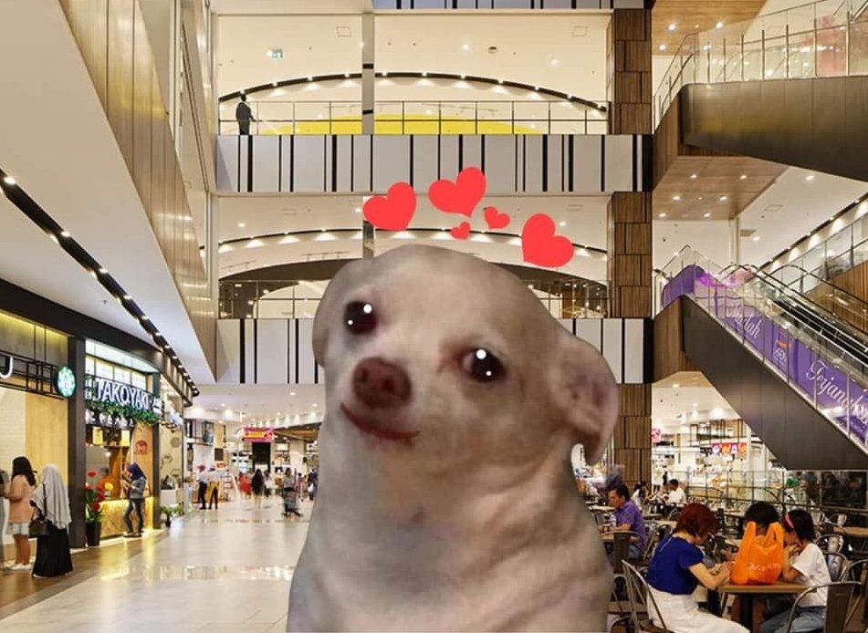 Guarromantica_'s tweet photo. Yo, enamorándome de desconocidos en centros comerciales. https://t.co/dIkYB3p8Yi