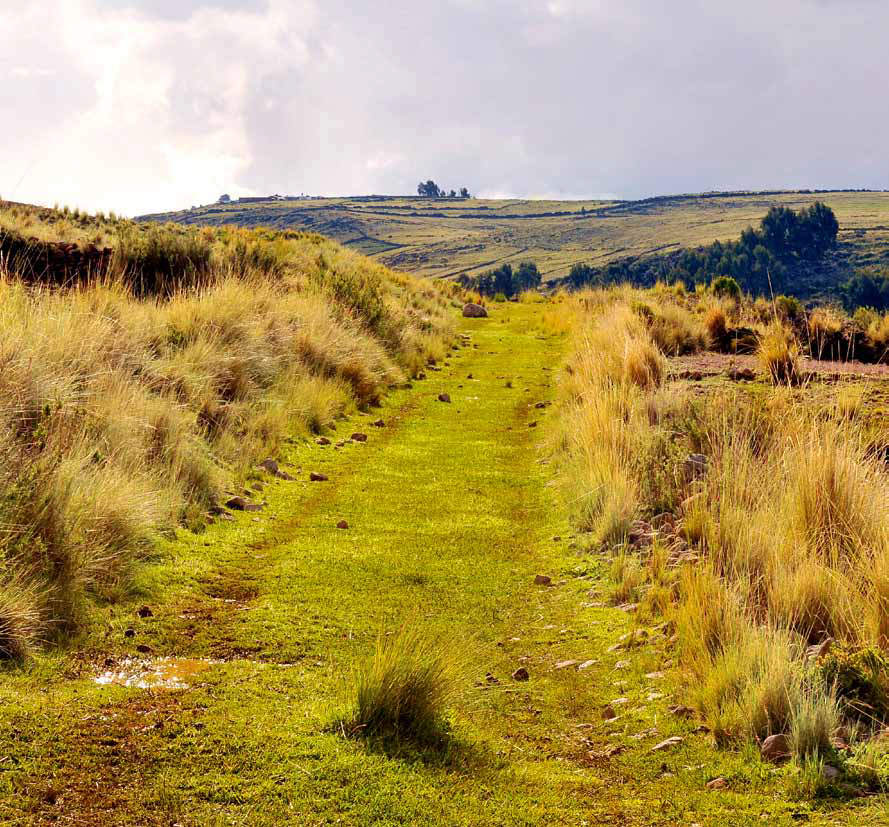 QhapaqNanPeru's tweet photo. El segmento Cruz Pata – Ccaje es un Área de Máxima Protección que se ubica al noroeste de Juli, en #Puno. El camino recorre campos de cultivo desde donde se divisan los nevados Illampu y Ancohuma, al otro lado del lago Titicaca, en Bolivia.
#QhapaqÑan https://t.co/bCXSN1AMZS