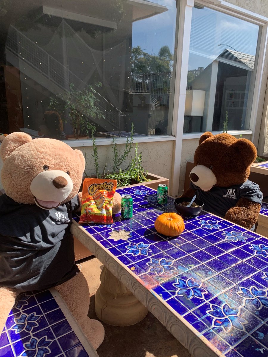 We would like to introduce you to Osito and Teddy. The #youth that stay at our #YouthEmergencyShelter wanted to share some of the activities they do around their safe space! These bears are our shelter’s mascots and the youth staged them doing some of their favorite activities.
