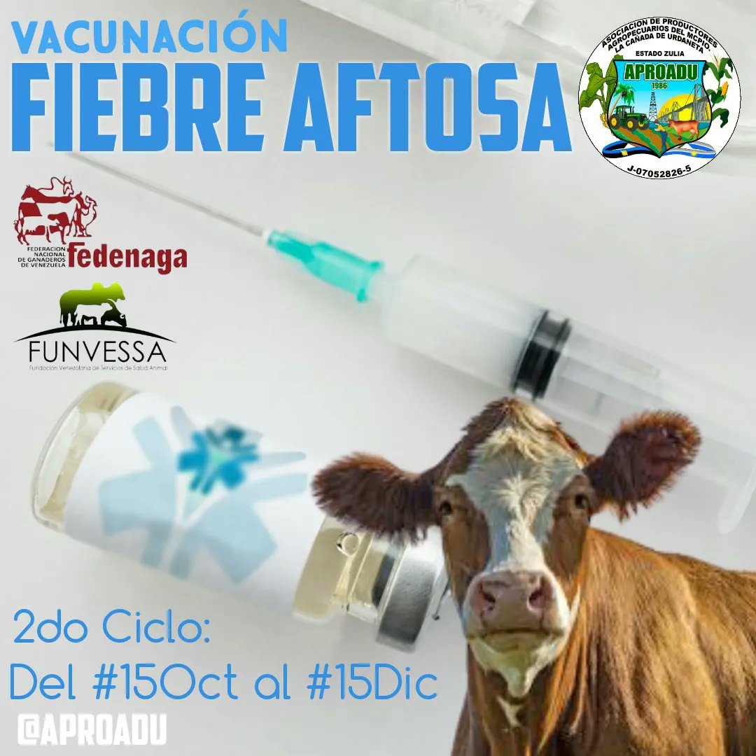 aproadulcu's tweet photo. Por una #VenezuelaLibreDeAftosa

#VenezuelaProductiva ⠀
⠀
#Aproadu ⠀
#LaCañadaDeUrdaneta #Zulia #Venezuela #Ganado #Ganadero #Finca #Hacienda #Parcela #Campo #Aprender #Tierras 
@Fedenaga @fegalago @Confagan @WernerGutierrez @INSAI_Zulia @MV_AngelAtencio @g_americo_avila https://t.co/PwtLtaCjVo