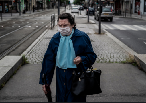 VictorSinclair3's tweet photo. On croise de plus en plus de tridose-masqués (Tridosus Mascaradus), petit animal craintif, qui, quand il aperçoit son ennemi principal, le nomask-novax, pousse des cris aigus qui ressemblent un peu à celui du putois, afin d'avertir ses congénères du danger. 
Merveilleuse nature ! https://t.co/NBm4UPTO1M
