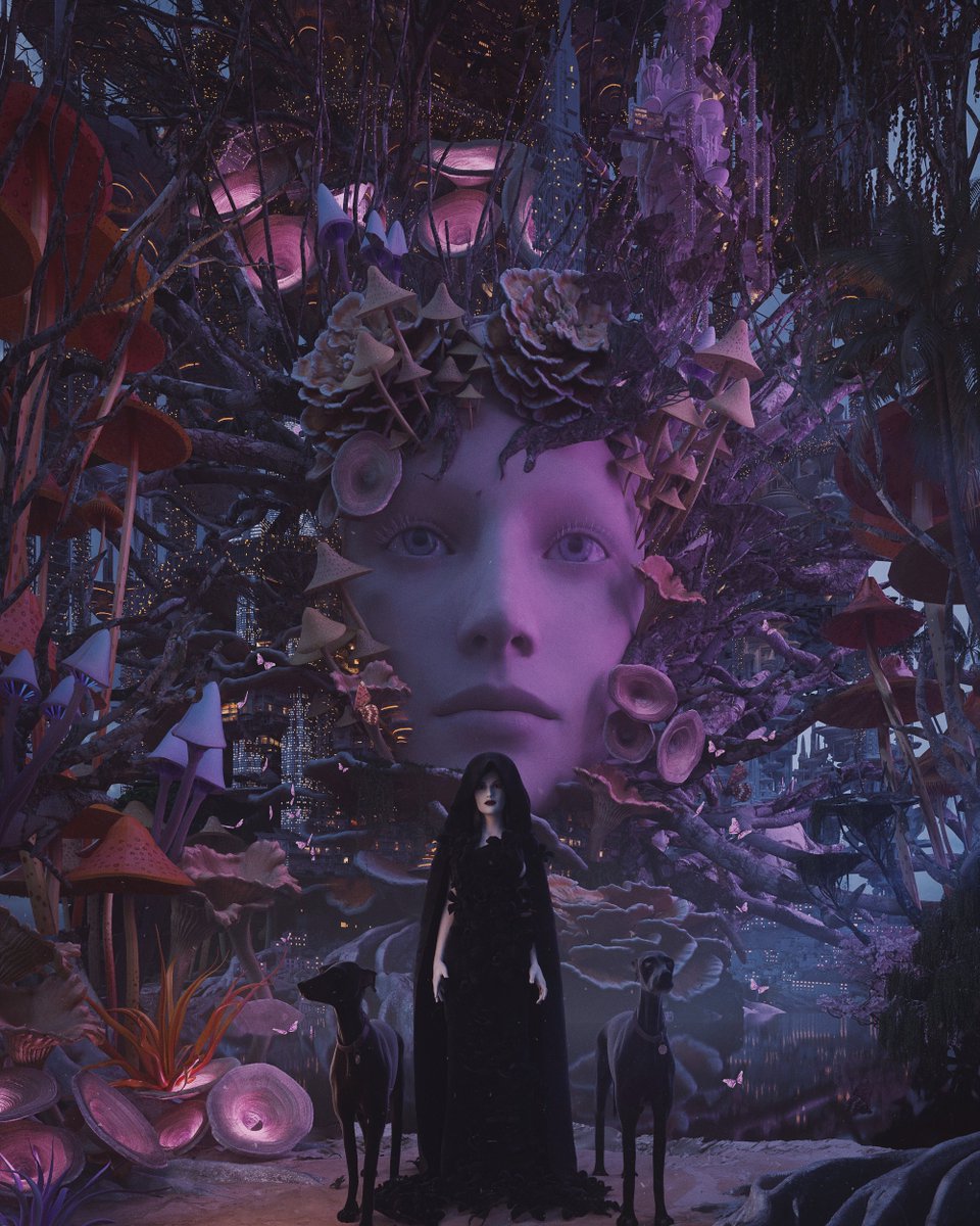 Haus | ignipax.eth tweet media