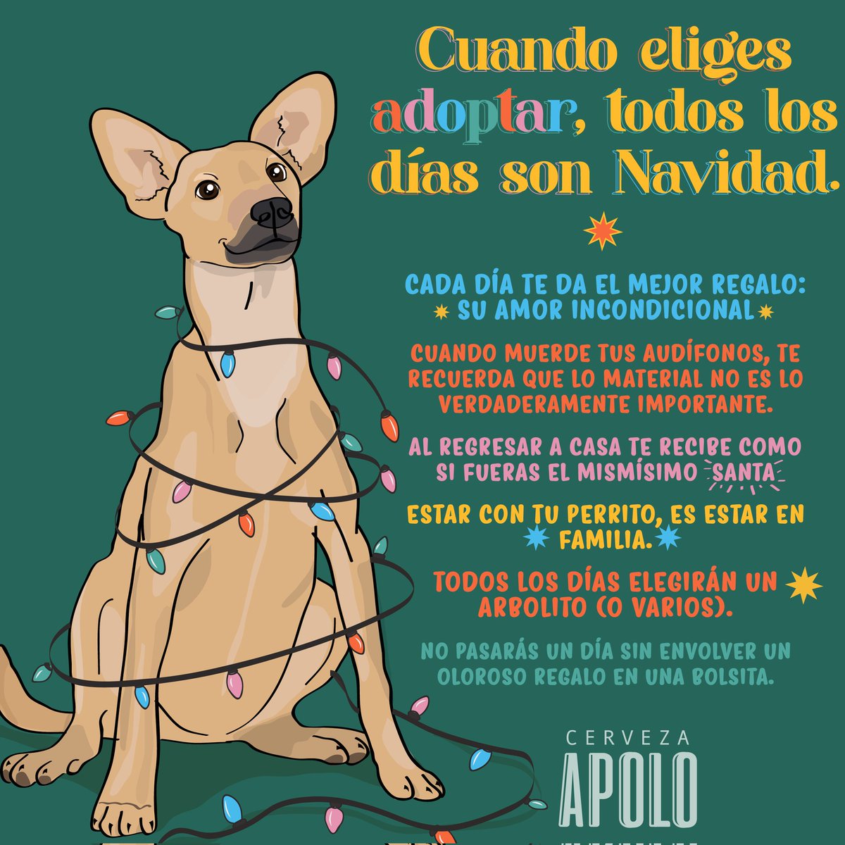 Cerveza Apolo tweet media