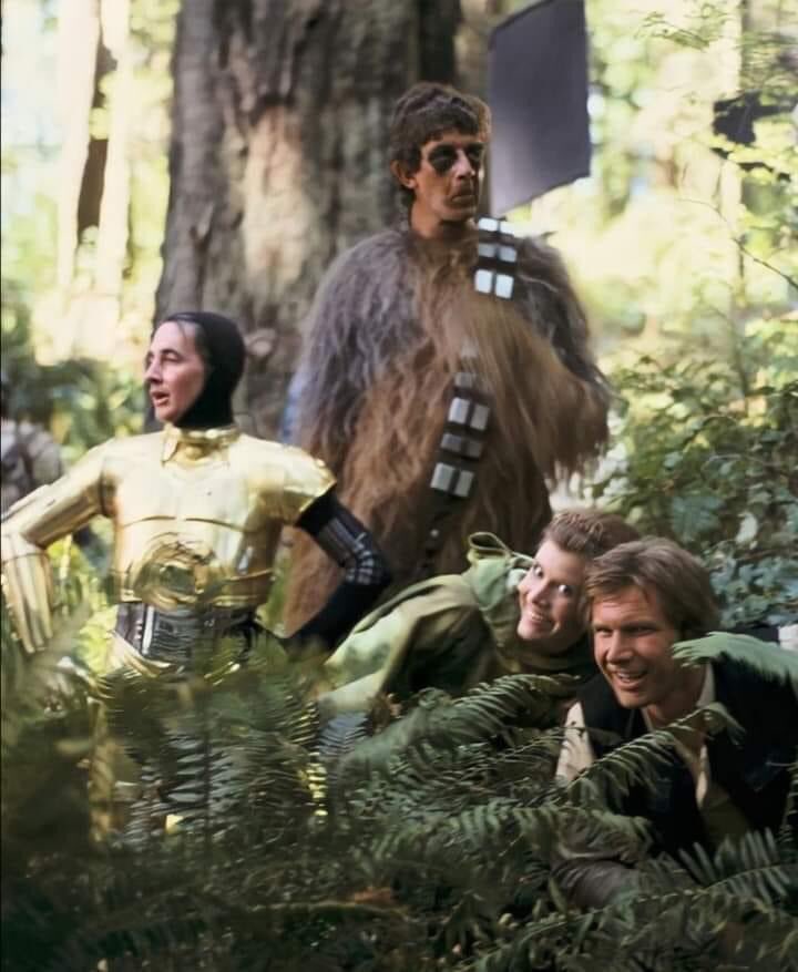 Behind the Scenes:
Anthony Daniels
Peter Mayhew 
Carrie Fisher
Harrison Ford 
