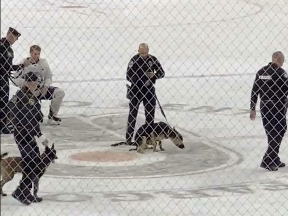Philly Police Dog Puts A Dagger In The Flyers Season, Takes A Massive Dump Right On The Center Ice Logo barstoolsports.com/blog/3396901/p…
