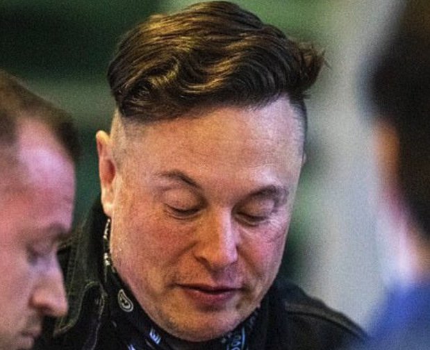 Just saw Elon Musk's new haircut and immediately thought of him. Same energy too. https://t.co/U9LoU