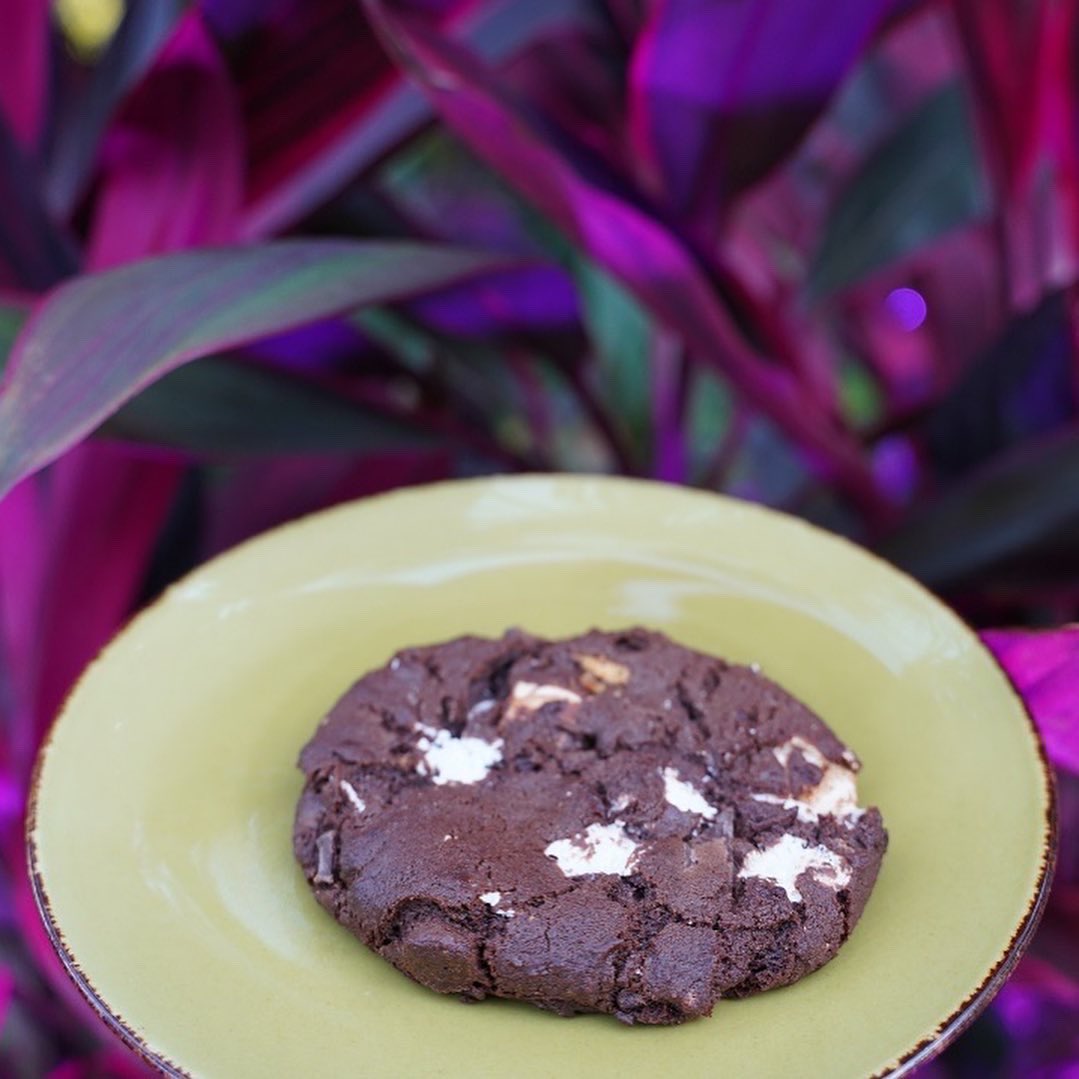 NaplesBotanical's tweet photo. 👉Get a taste of our delicious specials at Fogg Café during Johnsonville Night Lights in the Garden!

Enjoy a Spiked Apple Cider Cocktail, Porcini Mushroom Ravioli with Wagyu Bolognese, Brie, and Walnut Gremolata, and a S’mores Cookie for dessert. https://t.co/tWu78xf6lO