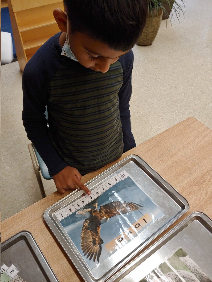 Ms Rutledge tweet media