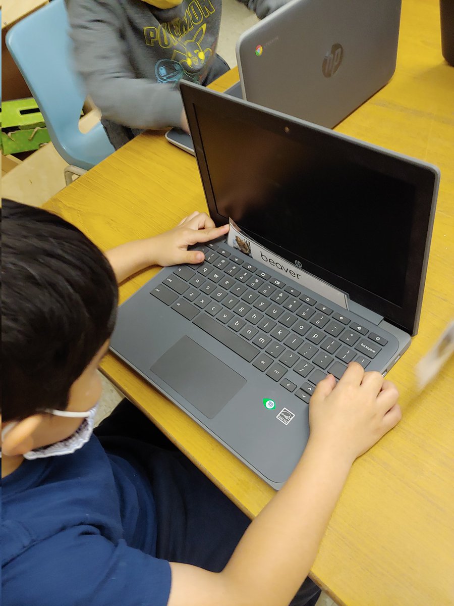 Ms Rutledge tweet media